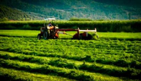 Picture 0 for Τι υπόσχεται ο Γ. Κατρούγκαλος για το ασφαλιστικό των αγροτών