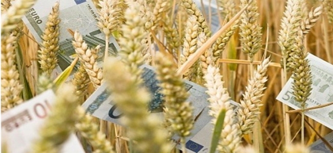 Picture 0 for Πώς θα πάρετε σύνταξη από τον Ο.Γ.Α.