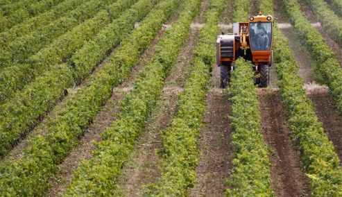 Picture 0 for ΟΠΕΚΕΠΕ: «Χαστούκι» στην Ελλάδα από την Κομισιόν - Πρόστιμο 392 εκατ. ευρώ