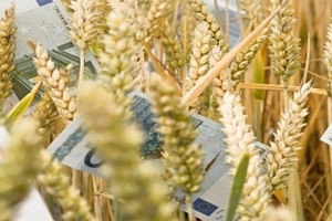 Τελευταία παράταση προθεσμίας πληρωμής ασφαλιστικών εισφορών ΟΓΑ