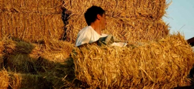 Picture 0 for Παράταση για την πληρωμή των εισφορών του ΟΓΑ